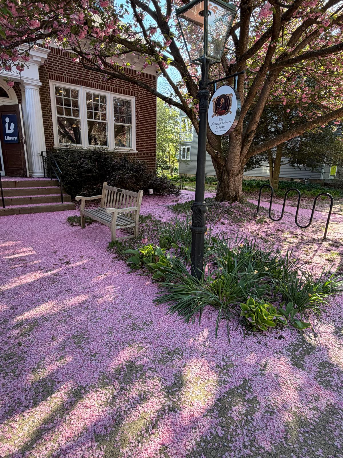 Spring